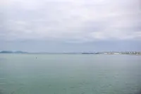 道の駅 うたづ臨海公園の写真・動画_image_518751