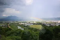 ふらのワイン工場の写真・動画_image_518757