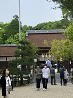 伊弉諾神宮の写真・動画_image_518842