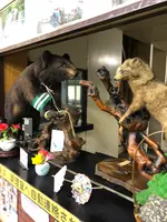 草木ドライブインの写真・動画_image_518909