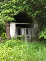水の広場の写真・動画_image_518921