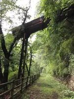 足尾線旧線跡の写真・動画_image_518930