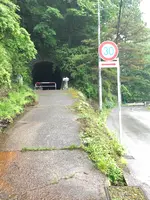 琴平トンネルの写真・動画_image_518933