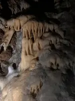 小平の里の写真・動画_image_518966