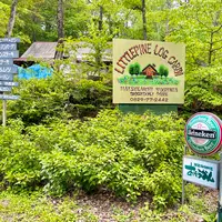 リトルパインログキャビンの写真・動画_image_519114