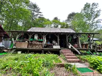 リトルパインログキャビンの写真・動画_image_519117