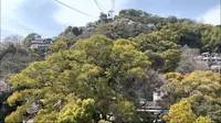 千光寺山ロープウェイの写真・動画_image_519170