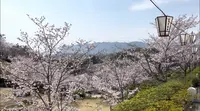 千光寺公園の写真・動画_image_519227