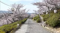 千光寺公園の写真・動画_image_519228