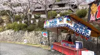 千光寺公園の写真・動画_image_519229