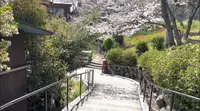 千光寺公園の写真・動画_image_519230