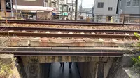 千光寺公園の写真・動画_image_519233