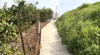 兼吉の丘の写真・動画_image_519239