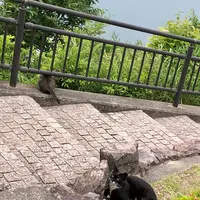 獅子の霊巌展望台の写真・動画_image_519826