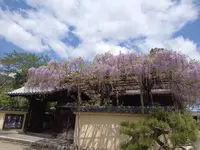 當麻寺中之坊の写真・動画_image_520424