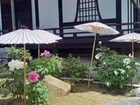 當麻寺中之坊の写真・動画_image_520426