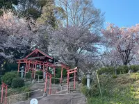 安倍文殊院の写真・動画_image_520432