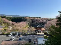 安倍文殊院の写真・動画_image_520444