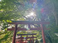 安倍文殊院の写真・動画_image_520446
