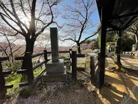 安倍文殊院の写真・動画_image_520450
