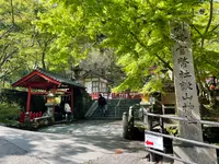 談山神社の写真・動画_image_520461