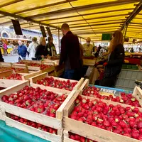 Notre-Dame Marketの写真・動画_image_520554