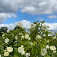 Farm Viltainの写真・動画_image_520861