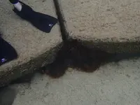 ナーマ浜の写真・動画_image_521137