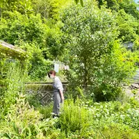 etsonaの写真・動画_image_521333