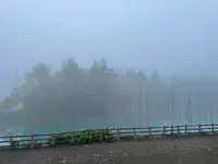 白金青い池の写真・動画_image_521486