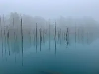 白金青い池の写真・動画_image_521487