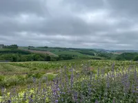 深山峠（かみふらの八景）の写真・動画_image_521523