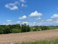 マイルドセブンの丘の写真・動画_image_521542