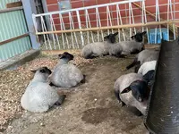丘のさんぽ道「ジェラート工房 丘のミルジェ」の写真・動画_image_521627