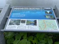 白金青い池の写真・動画_image_521666