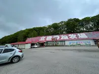 北きつね牧場の写真・動画_image_521718