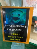 桂浜水族館の写真・動画_image_521957