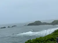 納沙布岬の写真・動画_image_522287