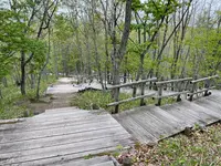 釧路湿原国立公園の写真・動画_image_522322