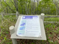 丹頂広場の写真・動画_image_522325