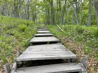 こもれび広場の写真・動画_image_522339