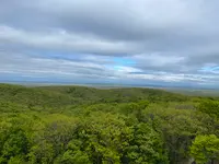 釧路市湿原展望台の写真・動画_image_522377
