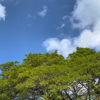 Ypao Beach（イパオ・ビーチ）の写真・動画_image_522426