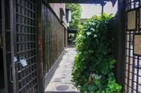 Kawa Cafe かわカフェの写真・動画_image_522643