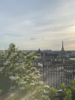 Sequoia Rooftop Barの写真・動画_image_522750