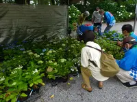 御裳神社の写真・動画_image_523186
