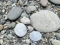 七星潭海岸風景特定区の写真・動画_image_523216