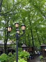 レストラン ペニーレイン（RESTAURANT PENNY LANE）那須店の写真・動画_image_523274