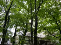 レストラン ペニーレイン（RESTAURANT PENNY LANE）那須店の写真・動画_image_523276