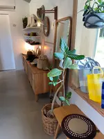クラフトアンドデザインホワイトノートの写真・動画_image_523283